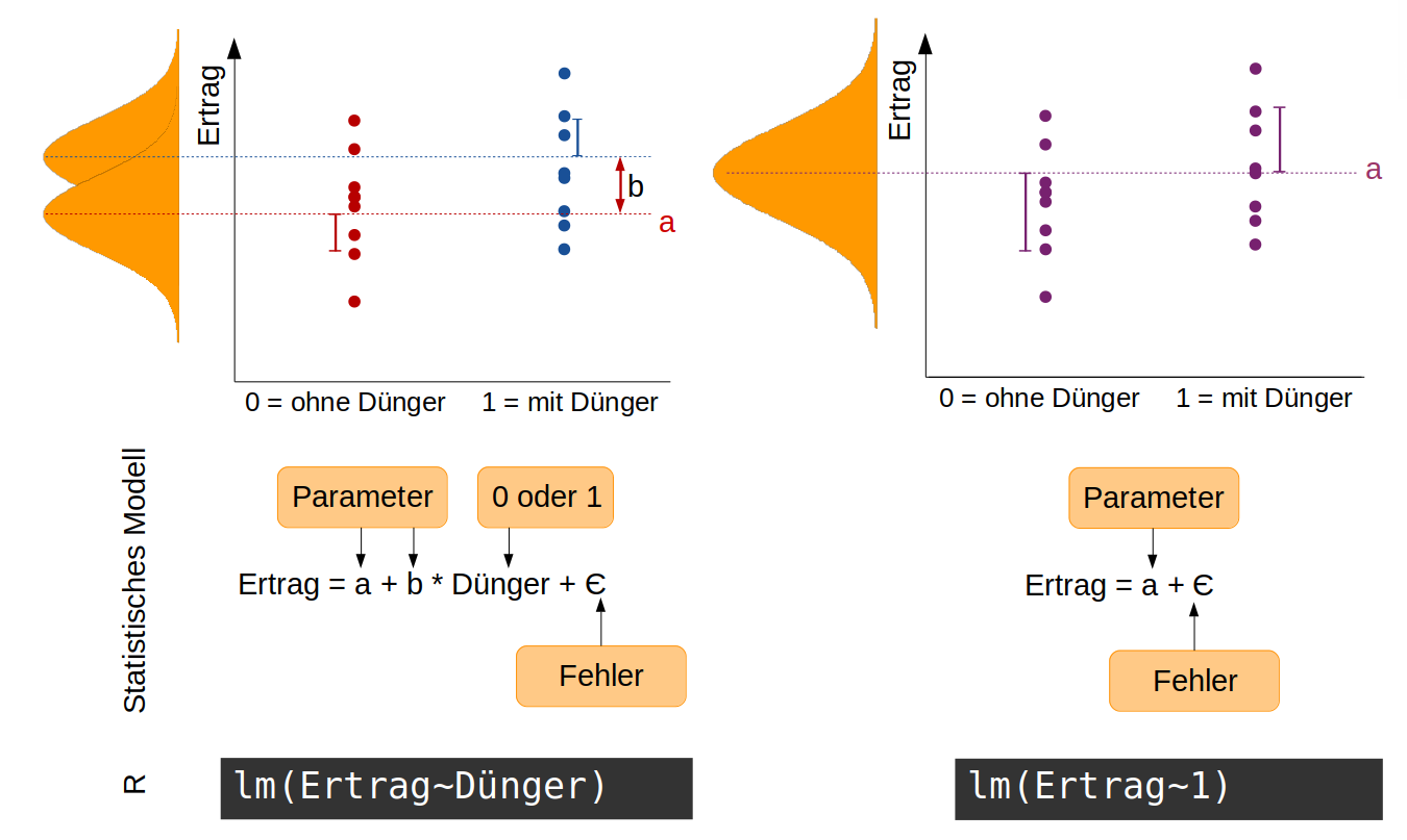 Hypothesen, statistische Modelle und Umsetzung in R. Links: Düngung hat einen Effekt auf den Ertrag -> die Daten stammen aus zwei Normalverteilungen mit unterschiedlichen Mittelwerten; rechts (Nullhypothese): Düngung hat keinen Effekt auf den Ertrag -> die Daten stammen aus einer einzigen Normalverteilung.