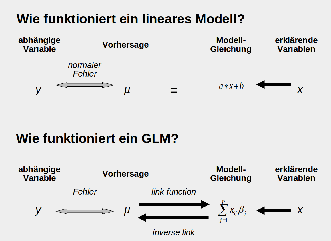 Vergleich der Funktionsweisen eines linearen und eines generalisierten linearen Modells. Verändert nach einer Folie von Frank Schurr.