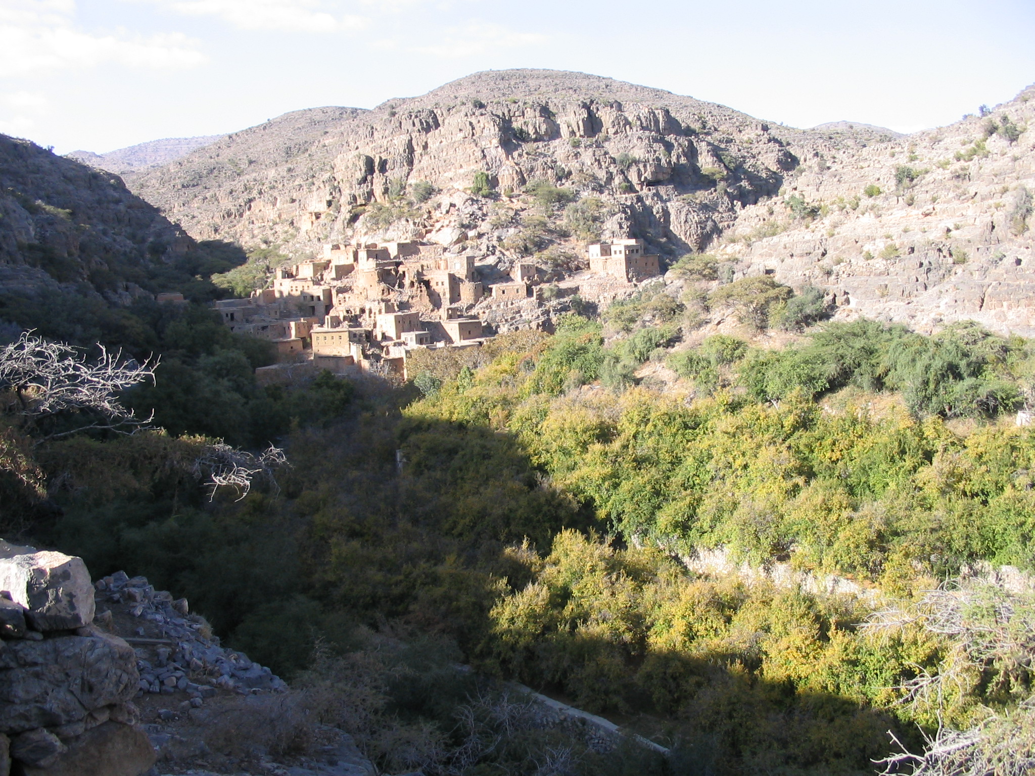 Impression of the oasis of Wadi Bani Habib (a few kilometers away) illustrating the impact that toppgraphic shading can have.